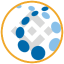 Credo Technology Tokenized bStocks