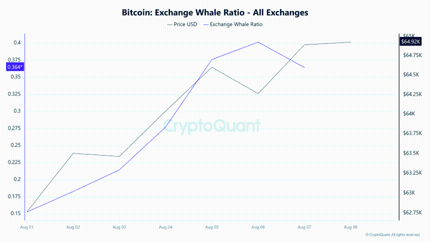 Bitcoin exchange whale ratio