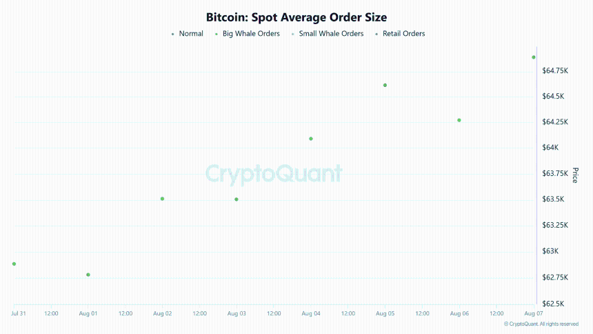Bitcoin spot average order size