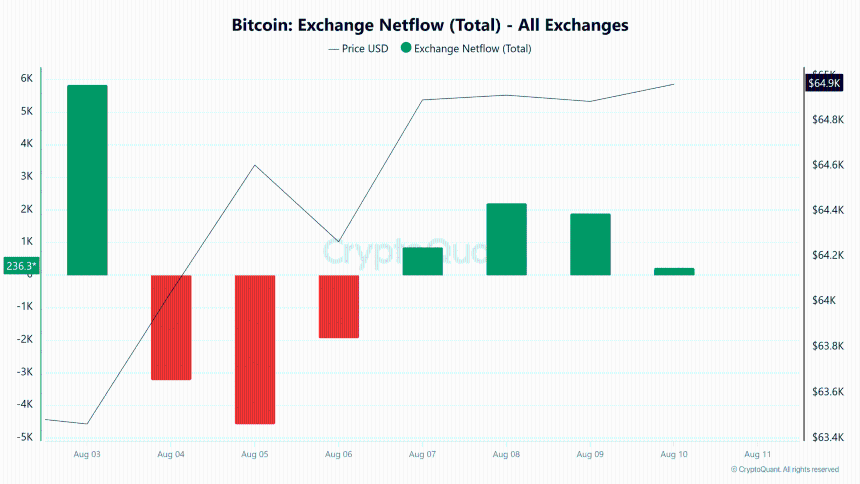 Bitcoin exchange netflow