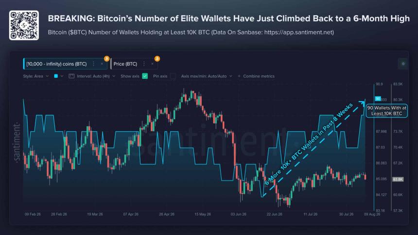 比特币：持有至少1万枚BTC的钱包达90个——市场格局有何变化？