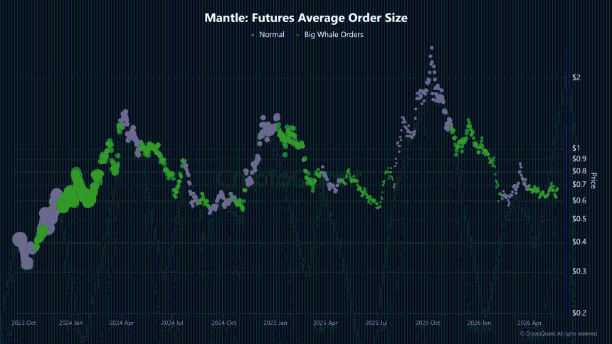 Mantle Future Average Order Size data