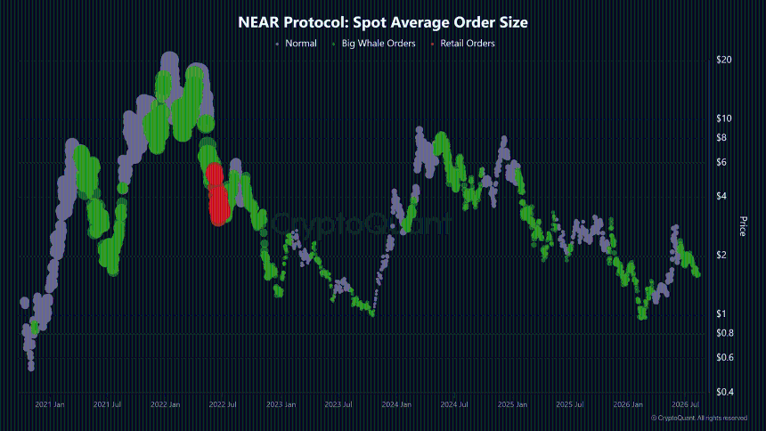 NEAR Spot Average Order Size