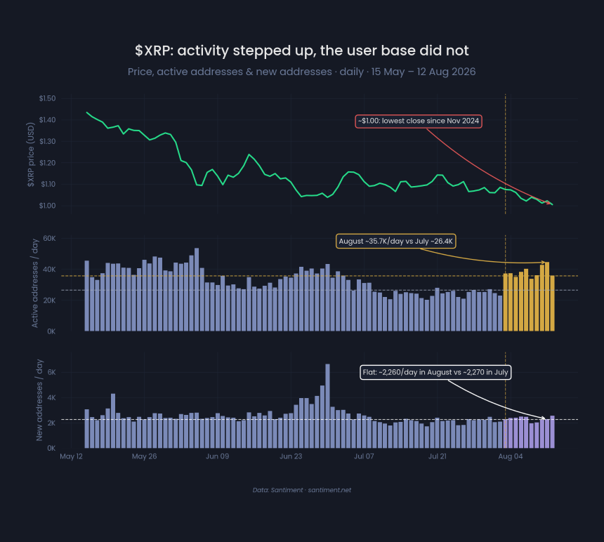 XRP Users